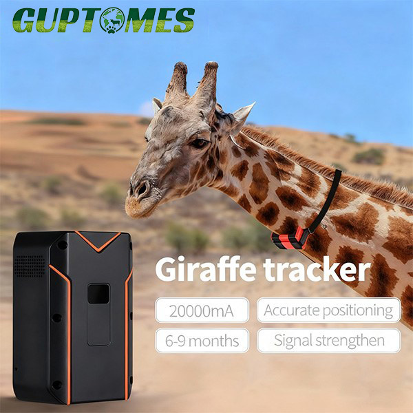 Giraffe Wildlife GPS Tracker with 9-Month Battery Life