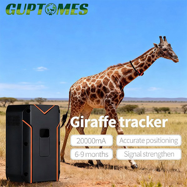 20000mAh GPS Tracking Collar for Wildlife Research