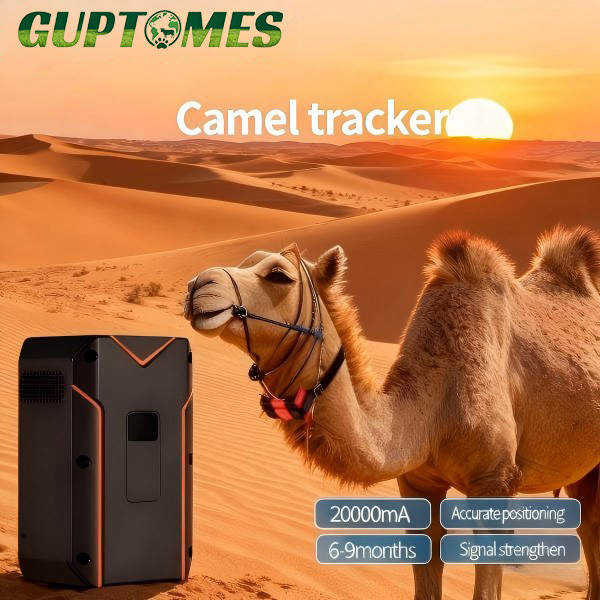 Camel GPS Tracker with Voice Intercom & Geo-Fencing