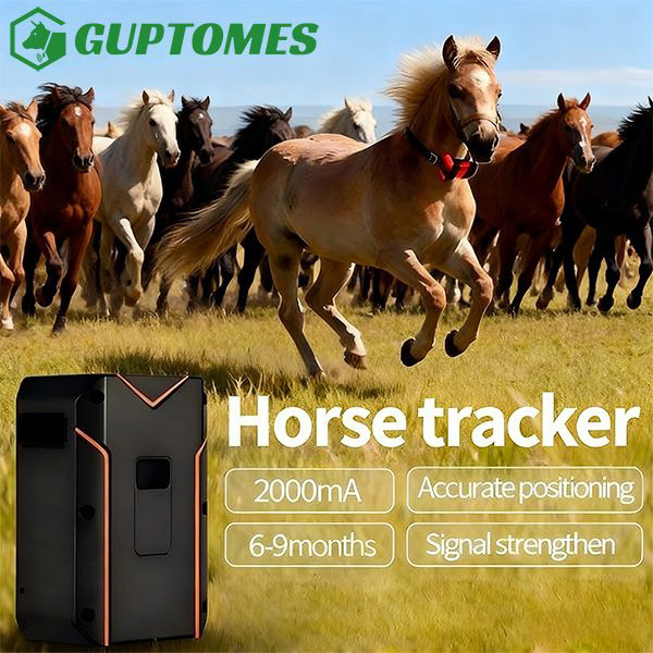 Compact Horse GPS Tracker with Long Battery Life & Real-Time Tracking
