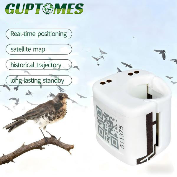 80mAh Pet Bird GPS Tracker with Training Analysis