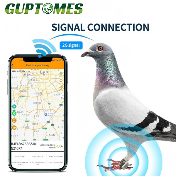 GPS+LBS Pigeon Tracker - 5-15m Accuracy, 80mAh Battery