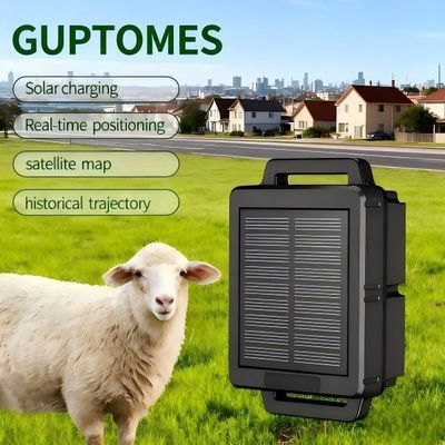 Pengisi Daya Surya GPS Sheep Tracker IP68 10000mAh Peternakan Aset Pelacakan GPS Tracker