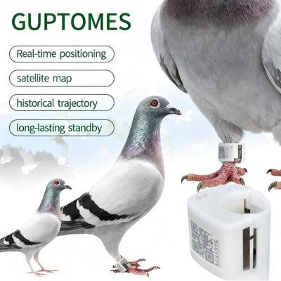 Dispositivo de seguimiento de palomas GPS + LBS 5-15m Alta precisión Diaria Inmágno 80mAh Tipo-C de carga