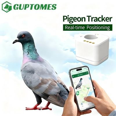 良い値段 2.6g 非リアルタイム 鳩追跡リング 36h バッテリー ローカル暗号化ストレージ オンライン