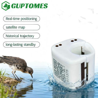 Dobra cena. GPS+LBS Mini GPS Tracker dla ptaków 80mAh 2G Sieć Pozycjonowanie w czasie rzeczywistym w Internecie