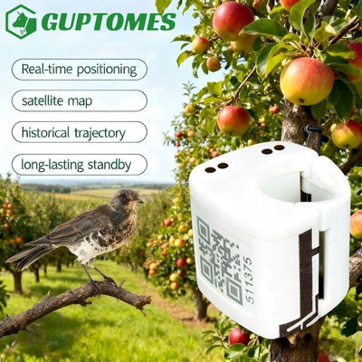 Bon prix Dispositif de suivi GPS pour petits oiseaux à double chargement Type C pour un positionnement en temps réel en ligne