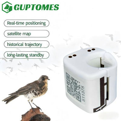Bon prix 5.4g GPS LBS Oiseau GPS Tracker imperméable à l'eau 2G Position en temps réel en veille longue en ligne