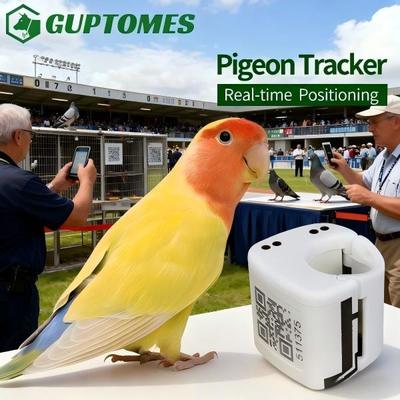 Bom preço 5.4g Ultra Leve Papagaio GPS Tracking 20x20mm Pequeno Pássaro GPS Tracker dispositivo on-line