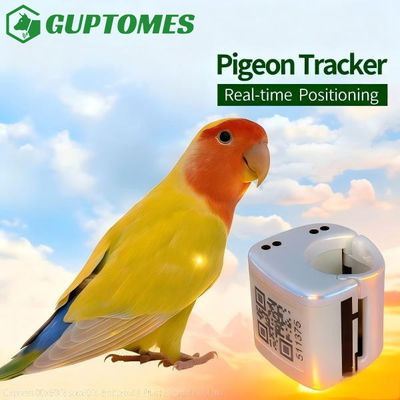 Giá tốt. Thiết bị theo dõi GPS Parrot Định vị chính xác cho chim nuôi theo dõi thời gian thực trực tuyến