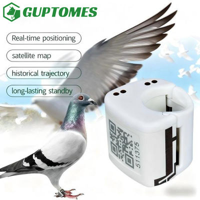 Bon prix Dispositif de suivi GPS Mini Pigeon avec batterie longue étanche à l'eau 5,4g léger en ligne
