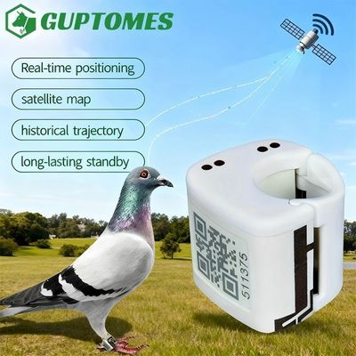 ভালো দাম GPS+LBS পায়রা ট্র্যাকিং ডিভাইস ৫-১৫ মিটার উচ্চ নির্ভুলতা দৈনিক জলরোধী ৮০mAh টাইপ-সি চার্জিং অনলাইন