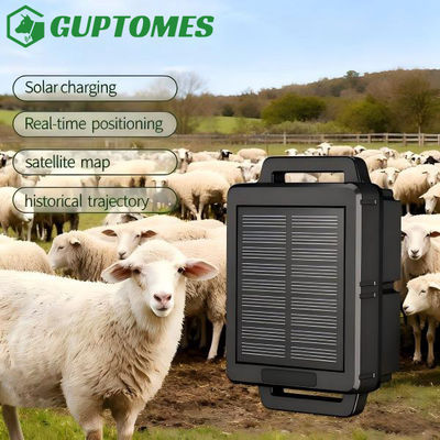 Good price IP68 Waterproof Solar GPS Tracker For Sheep 89x72x39mm 10000mAh Real Time Tracking online