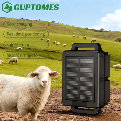 Harga yang bagus Compact Lightweight Sheep GPS Tracker 258g Dengan Geo Fence Dan Vibration Alarm on line