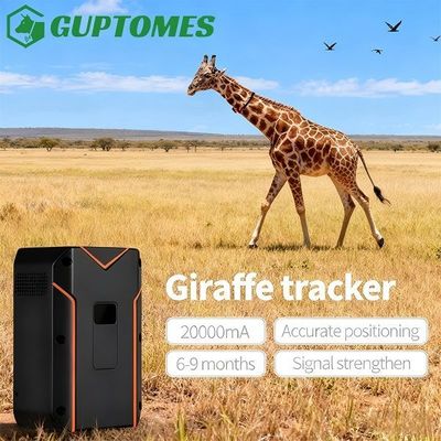 Bon prix Appareil de suivi des animaux sauvages de la girafe de chameau Système de suivi des animaux sauvages par GPS Poids 412g en ligne