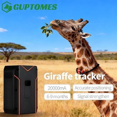ราคาดี เครื่องติดตาม GPS สแตนด์บายสำหรับสัตว์ป่าที่ได้รับการรับรอง CE สำหรับการติดตามแบบเรียลไทม์ของอูฐและยีราฟ ออนไลน์