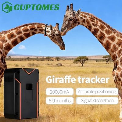 Good price 20000mAh Battery Animal Tracking Systems Giraffe GPS Tracking Collars For Wildlife online