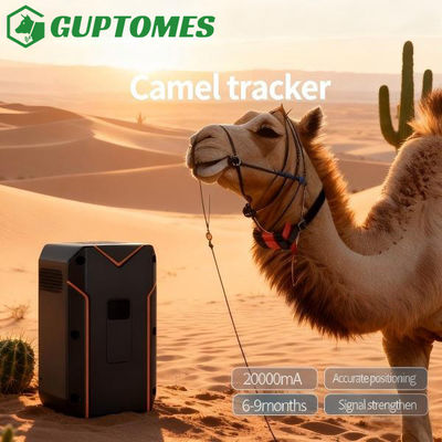 Goede prijs Kameel Veehouderij Dieren GPS Tracker Lange Standby Multi Modus Nauwkeurige Positionering online