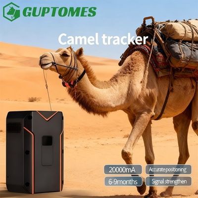 Dobra cena. 20000mAh Camel GPS Tracker 412g Kompaktowy GPS do monitorowania zwierząt hodowlanych w Internecie