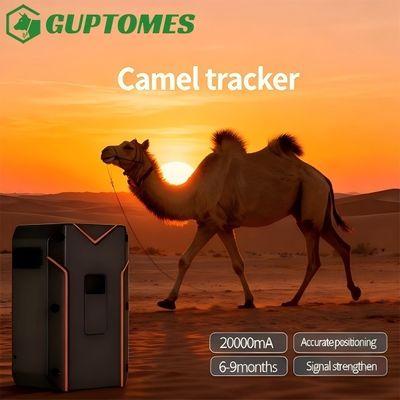 Bon prix Solution de surveillance GPS Camel Suivi GPS en temps réel avec interphone vocal en ligne