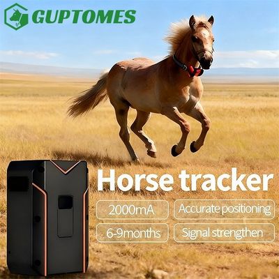 Buen precio Intercomunicador de voz Solución de monitoreo de seguimiento GPS de caballo 20000mAh Batería 412g Peso en línea