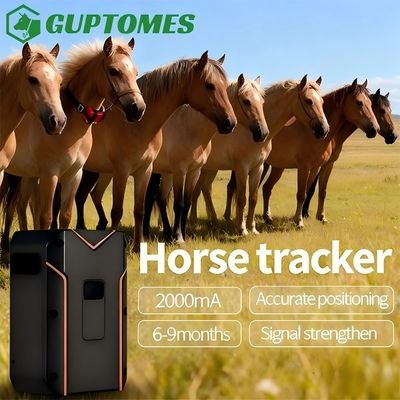 Bon prix Appareil de suivi GPS compact pour chevaux 412g Suivi en temps réel du bétail Trajection historique en ligne