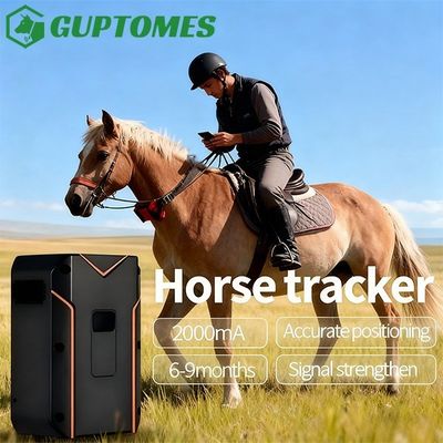 Guter Preis Langlebiger Dual-Mode GPS-Tracker für Pferde GPS BDS WIFI Viehverfolgung und Geofencing Online