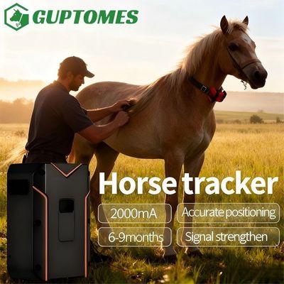 Good price 20000mAh Long Standby Horse GPS Tracker, Multi-Technology (BDS/WIFI/LBS/AGPS) For Horse online
