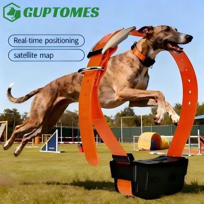 Good price 4000mAh Battery Dog GPS Tracking Collar Real Time Position With Voice Intercom online