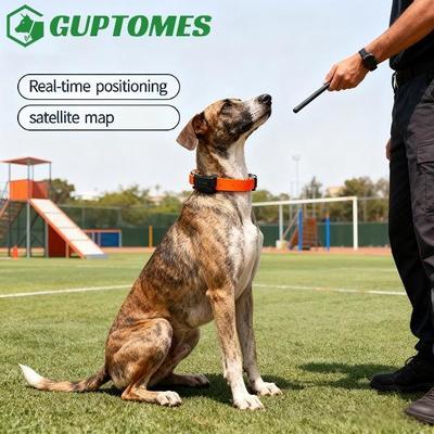 Bon prix GPS LBS Systèmes de suivi GPS à double mode pour chien 4000mAh Batterie Tracker de collier pour chien en ligne