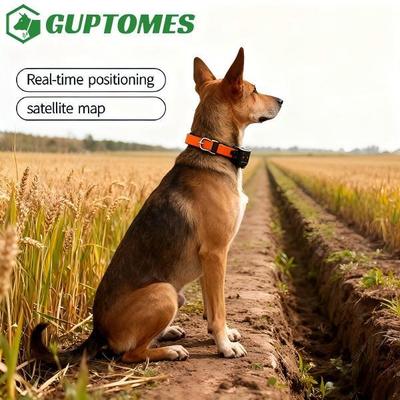 Good price 4000mAh Battery Dog GPS Tracking Collar Dual-Mode Positioning (GPS+LBS) For Dogs online