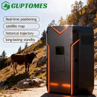 Good price 20000mAh Battery Rugged Cattle GPS Tracker With GPS BDS WIFI Multi Positioning online