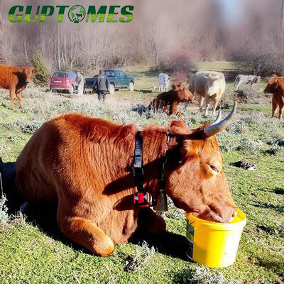 Dobra cena. 30000mAh Bateria Ruge Cattle GPS Tracker Z GPS BDS WIFI Wielopozycjonowanie w Internecie