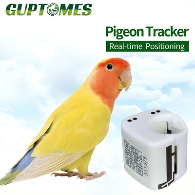 İyi bir fiyat. Compact 5.4g Parrot GPS Tracker 24 - 48 saat Batarya ömrü Açık hava kullanımı için çevrimiçi