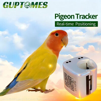 ราคาดี ชาร์จแบบสองแบบ C Parrot GPS Tracker กันน้ํา 80mAh เครื่องติดตามนก ออนไลน์