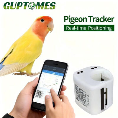 Good price Mini 5.4g GPS Pigeon Tracker, Real-time Positioning Locator For Racing Birds, Daily Waterproof, 24-48H Battery online