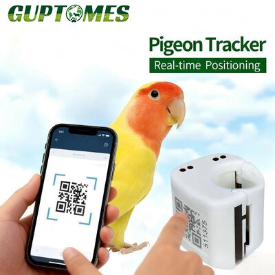 Good price 5.4g Ultra Lightweight Parrot GPS Tracking 20x20mm Small Bird GPS Tracker Device online