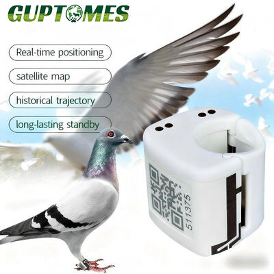 Giá tốt. Thiết bị theo dõi GPS bồ câu bền bỉ 5.4g siêu nhỏ gọn để theo dõi chuyến bay theo thời gian thực trực tuyến