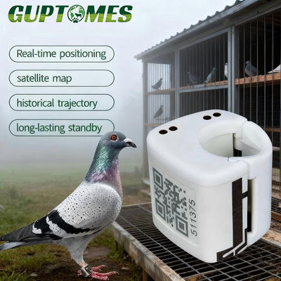 Giá tốt. Thiết bị theo dõi GPS bồ câu siêu nhẹ 5.4g, chống nước, có theo dõi lộ trình bay và sạc kép trực tuyến