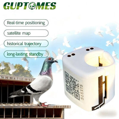 Harga yang bagus Cincin Pelacak GPS Merpati 20x20mm Ringkas Harian Tahan Air Dengan Standby Panjang 80mAh on line