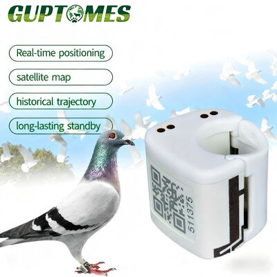 Harga yang bagus Tipe C Dual Charging Racing GPS Pigeon Tracking Rings GPS LBS Penentuan Posisi yang Tepat on line