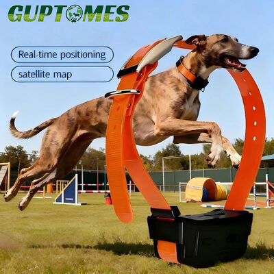 Buon prezzo Dispositivo di localizzazione GPS per cani con registrazione remota, collare leggero, peso 148g in linea