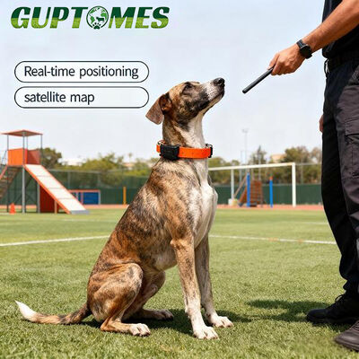 Guter Preis GPS-Ortungsgerät für Hunde mit elektronischem Zaun und Verlaufsprotokoll Online