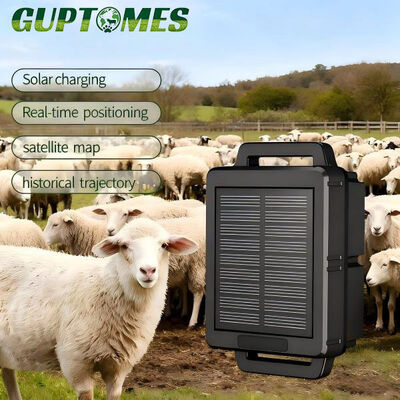 Bom preço IP68 rastreador GPS solar à prova d'água para ovelhas 89x72x39mm 10000mAh rastreamento em tempo real on-line
