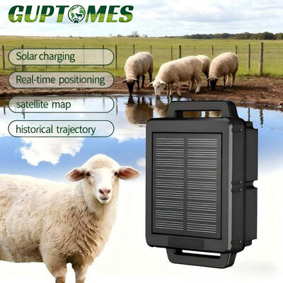 Good price High Precision Sheep GPS Tracker 10000mAh Battery Real Time Livestock GPS Tracking online