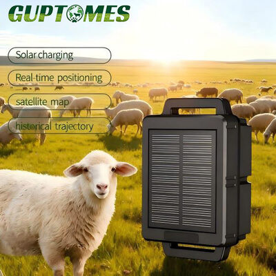 Buen precio Carga solar de ovejas dispositivo de seguimiento GPS IP68 resistente al agua 10000mAh Batería para monitoreo en línea