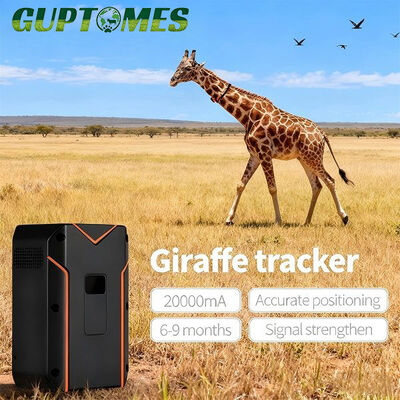 Goede prijs CE-goedgekeurde stand-by GPS-tracker voor wilde dieren voor kamelen en giraffen, real-time tracking online