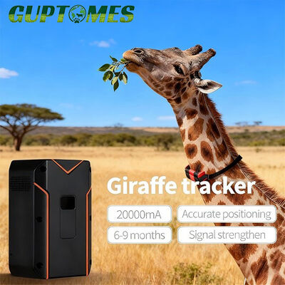 Chất lượng Voice Intercom Camel Động vật hoang dã GPS Tracker Định vị cao Geo hàng rào GPS Tracker nhà máy