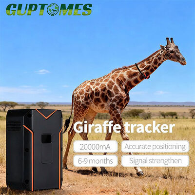 Bom preço Bateria de 20000mAh Sistemas de rastreamento de animais Camelo girafa Colares de rastreamento GPS para vida selvagem on-line