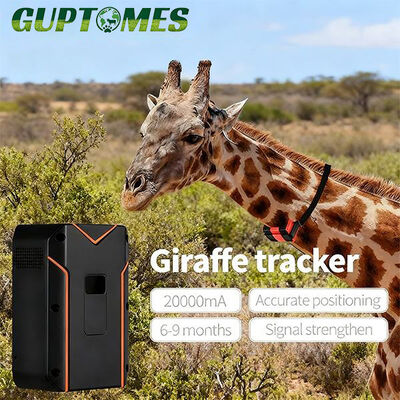 قیمت خوب دستگاه ردیابی جی پی اس با حالت دوگانه حیات وحش با GPS LBS برای نظارت از راه دور آنلاین